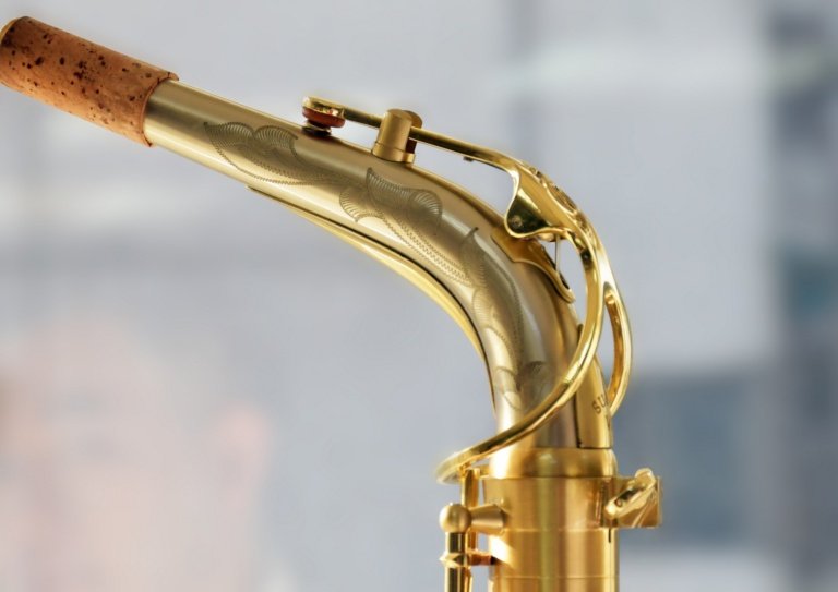 Close-up_Le bravo_Alto_m_005